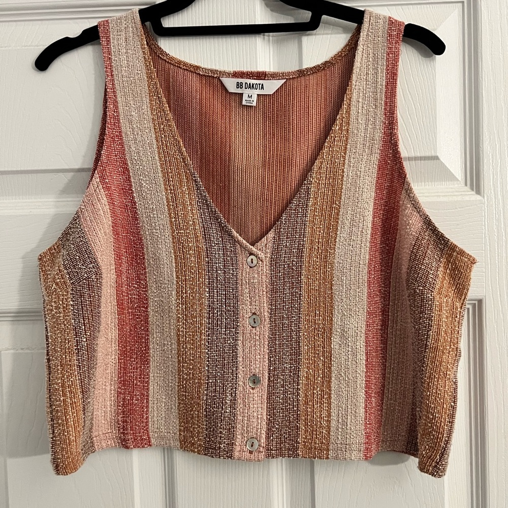 BB DAKOTA - Medium Crop Top